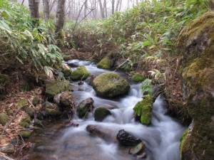 園地の風景（宮崎様より）