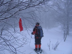 冬の山は静かです