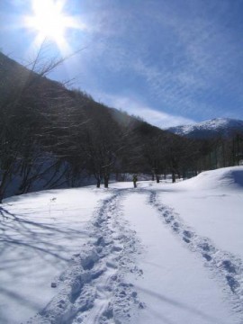 輝く新雪に足あとを刻む