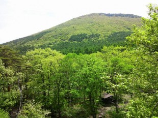 インフォメーションセンターから見える 村上山（1746m）