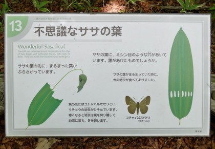 自然学習歩道にある解説板
