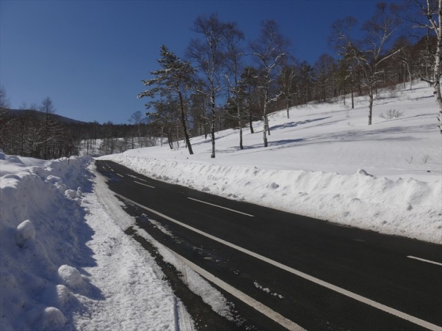 積雪の様子（湯の丸高原）