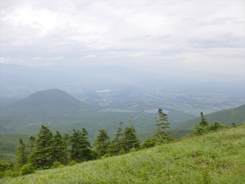 はるかにかすむ嬬恋村のキャベツ畑