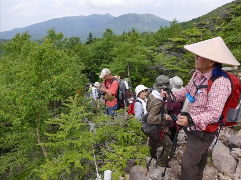 樹林帯を抜けるとガレ場が続く