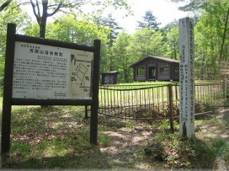 浅間山溶岩樹型群 